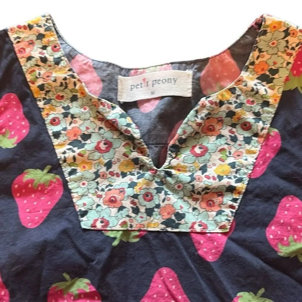 Petit Peony Strawberry Print B.T. Kids Seersucker Embroidered Tier Dress Girls 5